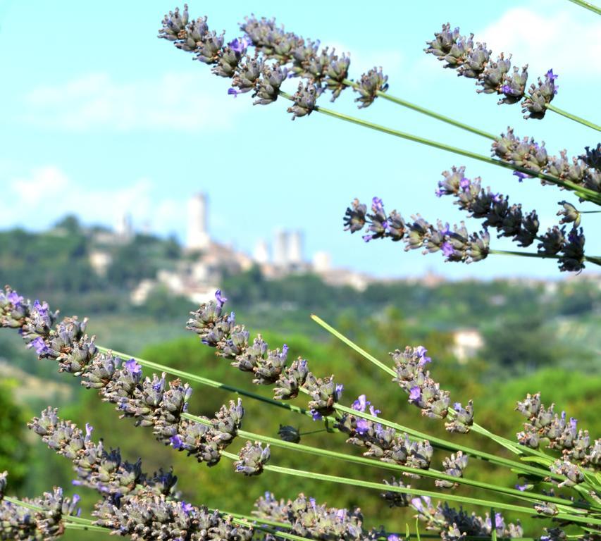 Country house Podere Bellavista San Gimignano