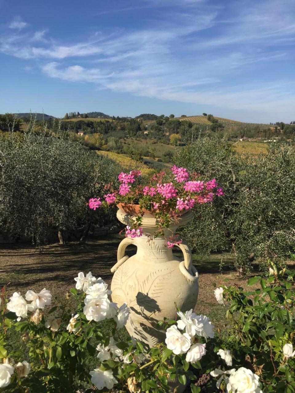 Podere Bellavista Country house San Gimignano