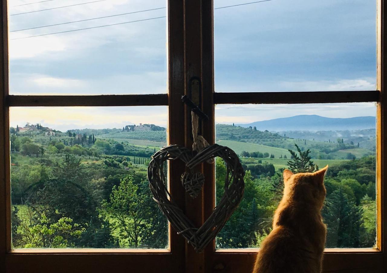 Country house Podere Bellavista *