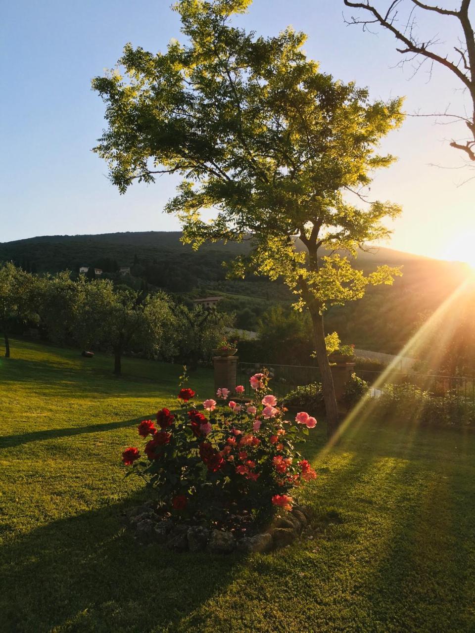 Podere Bellavista Country house