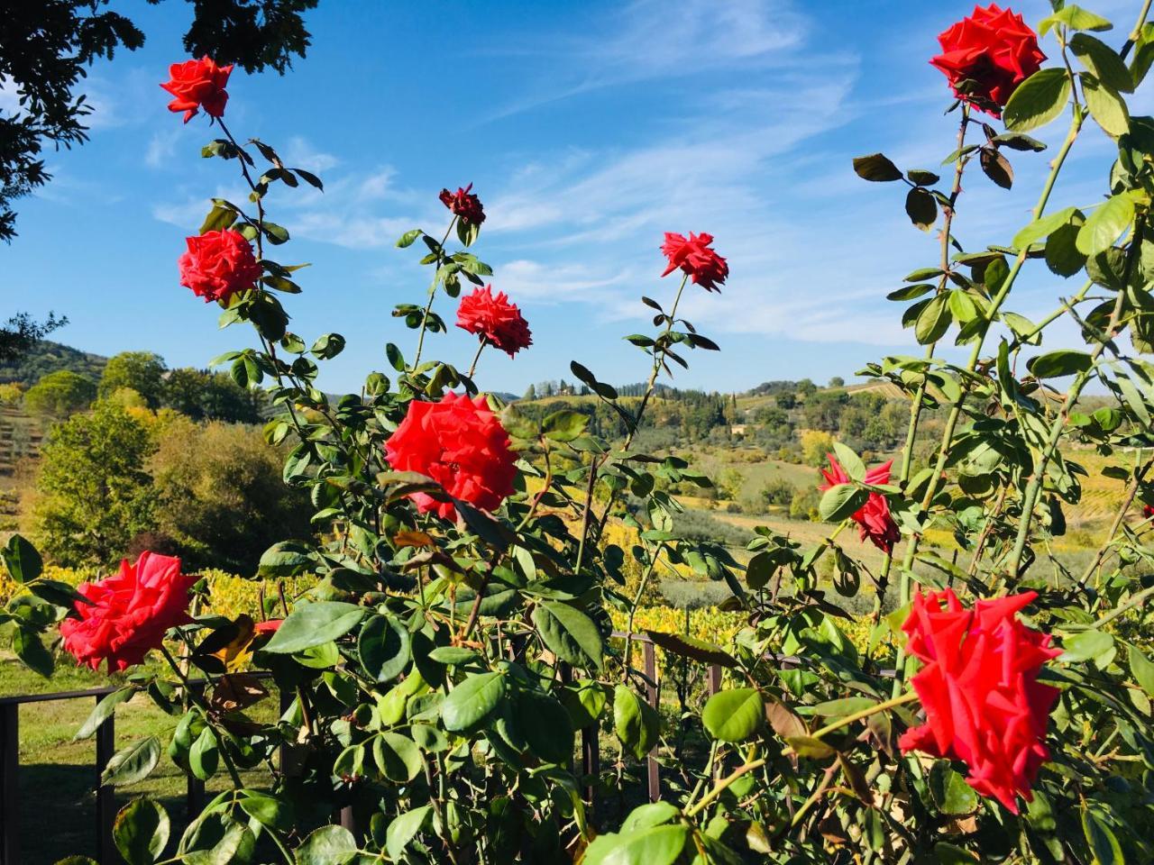 Country house Podere Bellavista San Gimignano