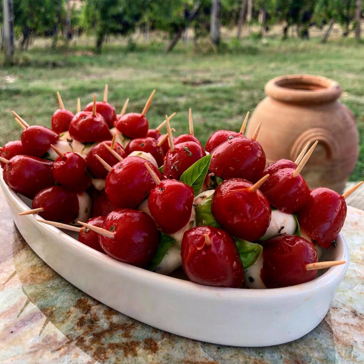 Podere Bellavista Country house San Gimignano