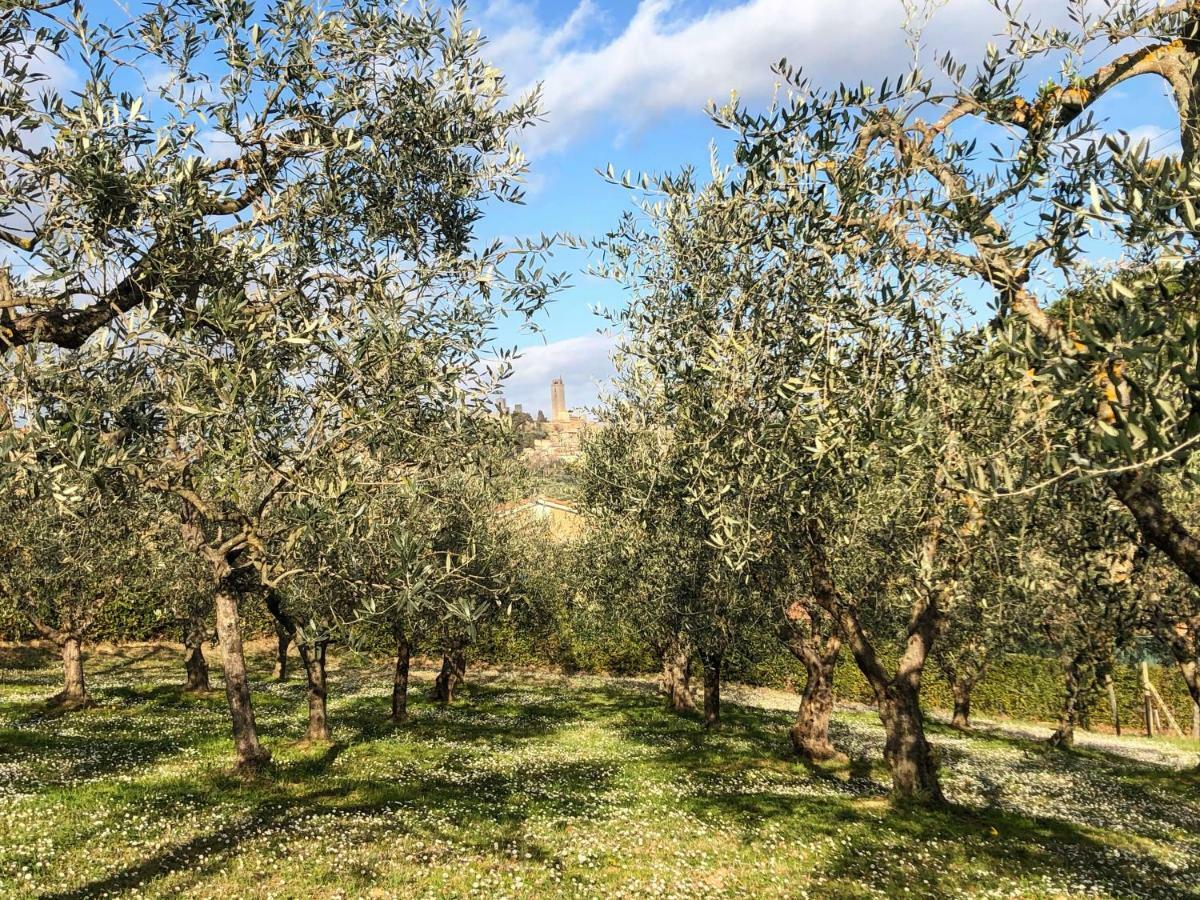 Podere Bellavista Country house *