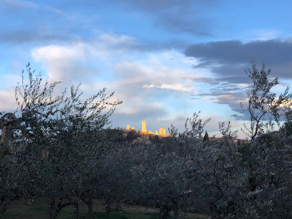 Country house Podere Bellavista San Gimignano