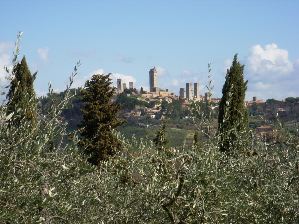 Podere Bellavista *