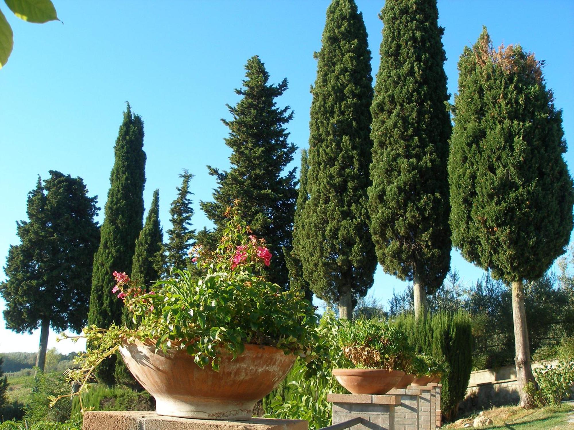 Podere Bellavista