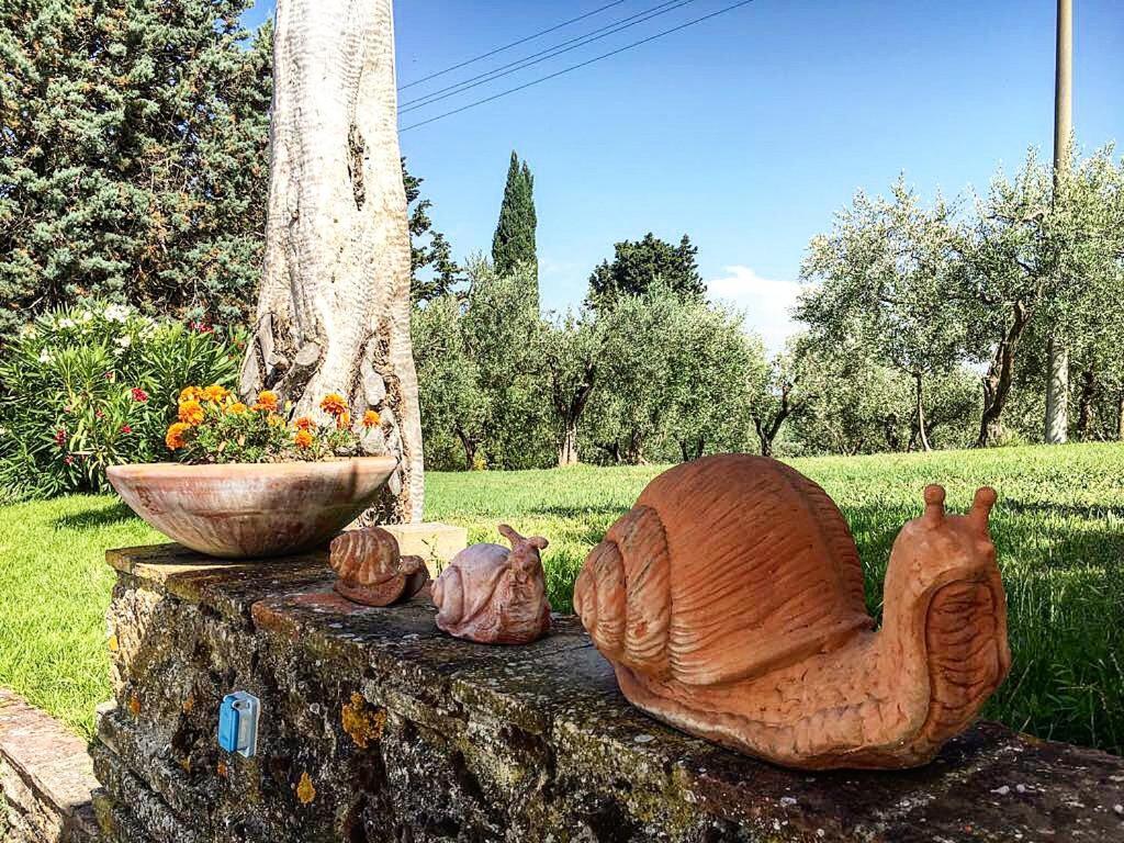 Podere Bellavista Landhuis San Gimignano