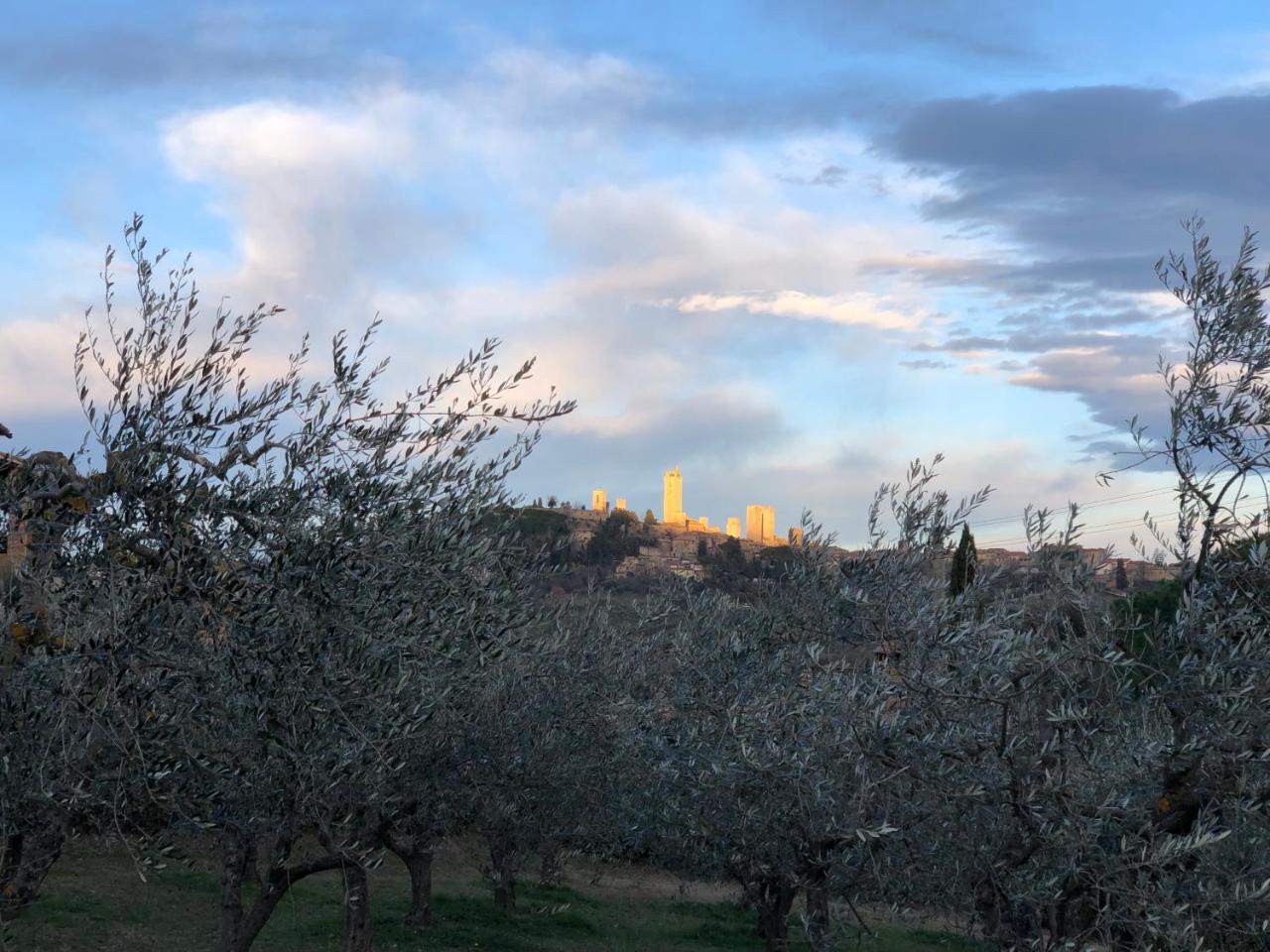 Podere Bellavista